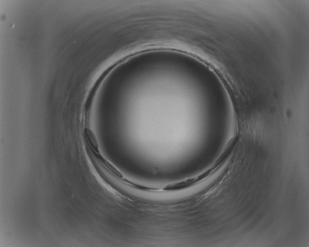 X0000082951519200702011229