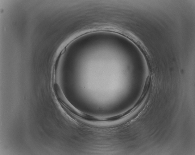 X0000082951520200702011229