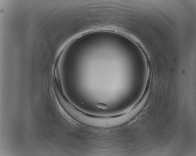 X0000082951524200702011229