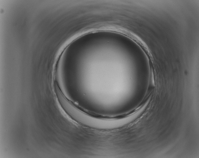 X0000082951528200702011229