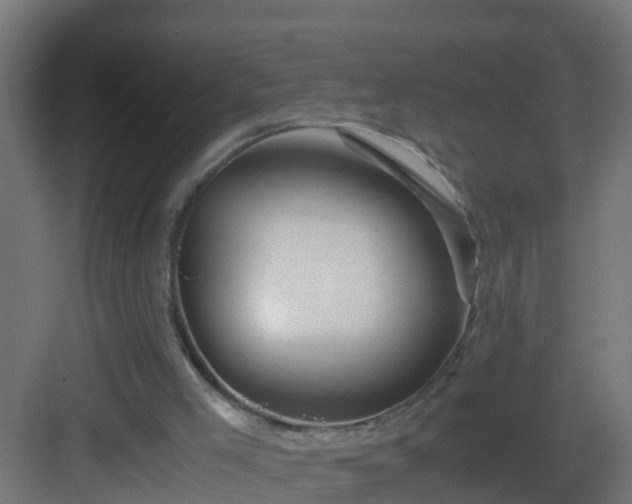 X0000082950005200702081701