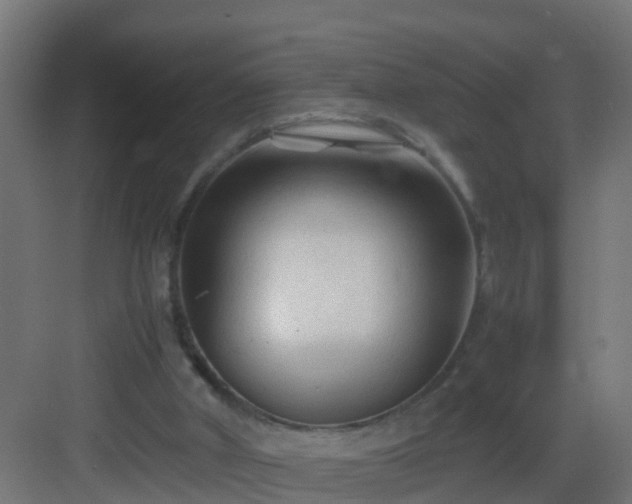 X0000082950010200702081701