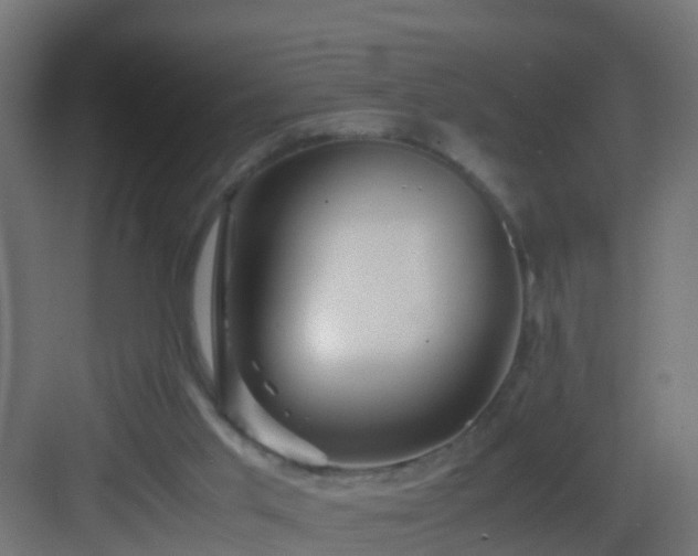 X0000082950013200702081701