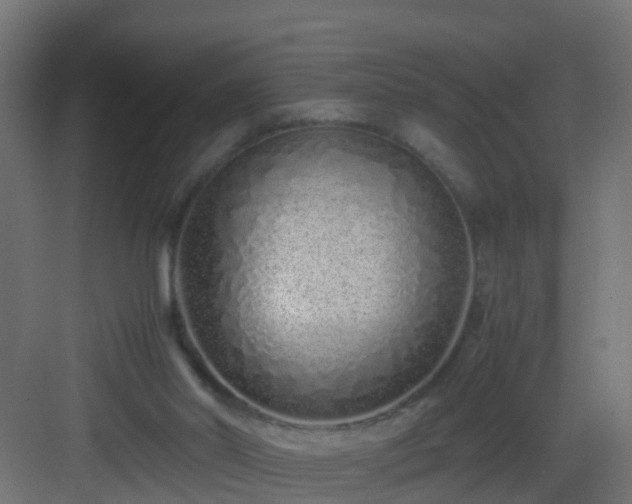 X0000082950014200702081701