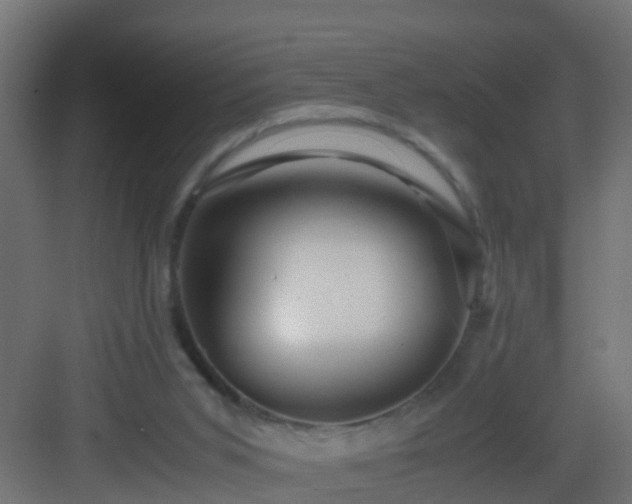 X0000082950015200702081701