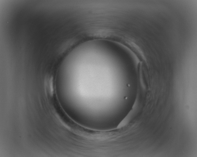 X0000082950020200702081701