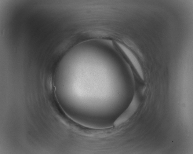 X0000082950021200702081701