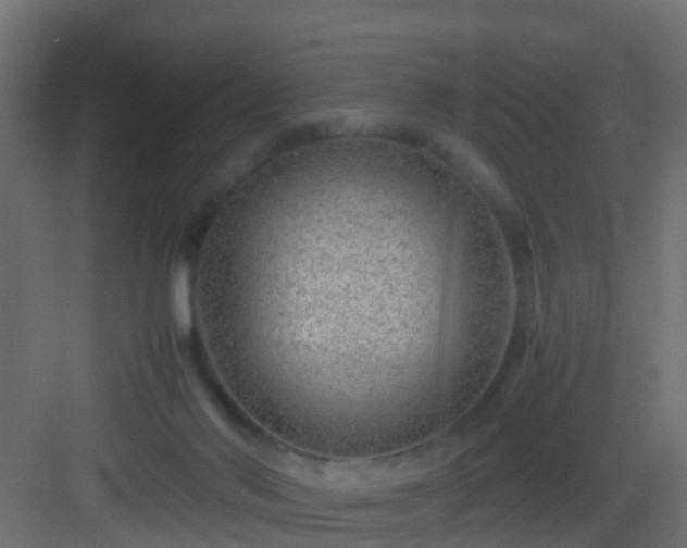 X0000082950022200702081701