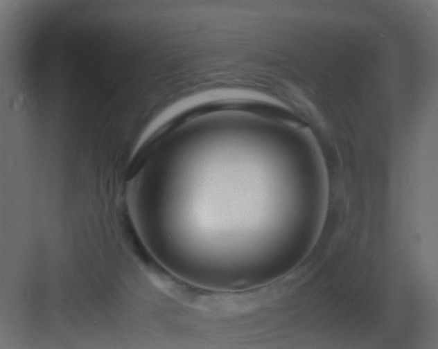 X0000082950025200702081701
