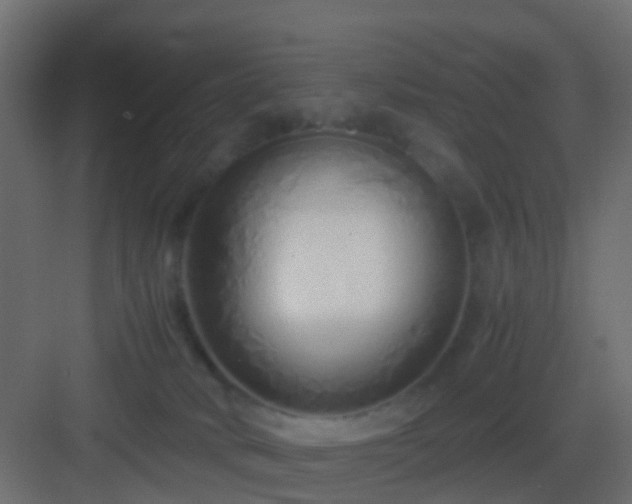 X0000082950034200702081701
