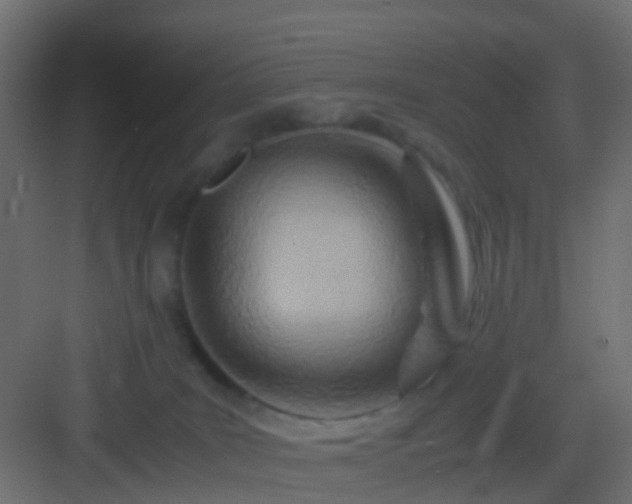 X0000082950035200702081701