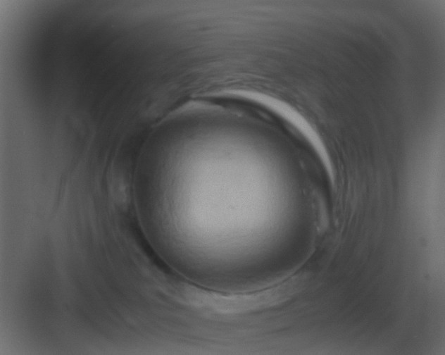 X0000082950039200702081701