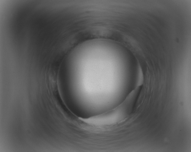 X0000082950040200702081701