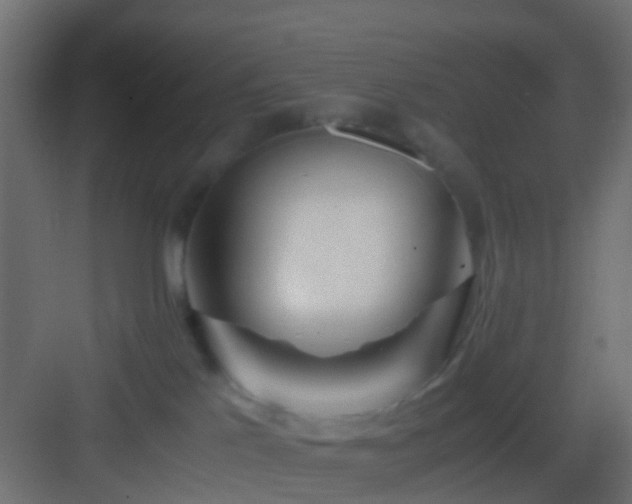 X0000082950041200702081701