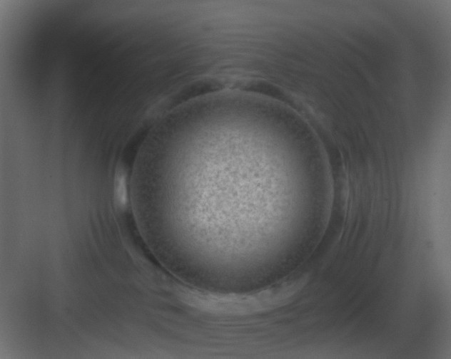 X0000082950042200702081701