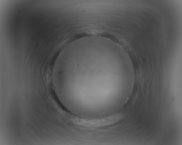X0000082950043200702081701
