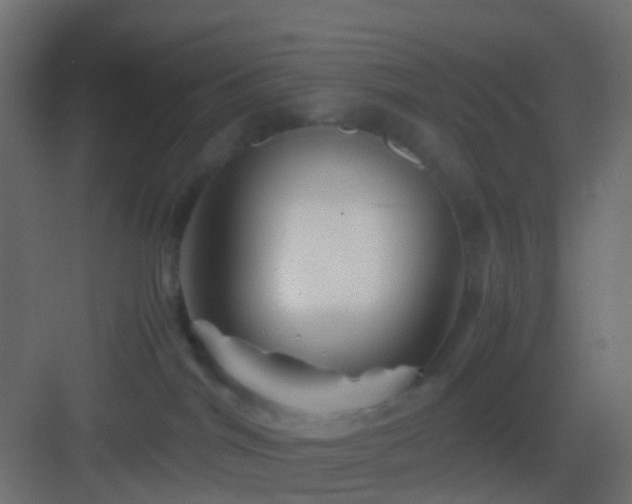X0000082950044200702081701