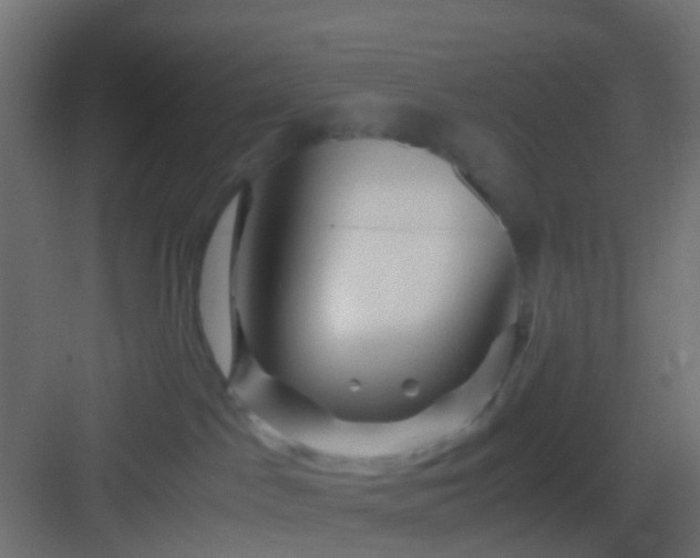 X0000082950045200702081701