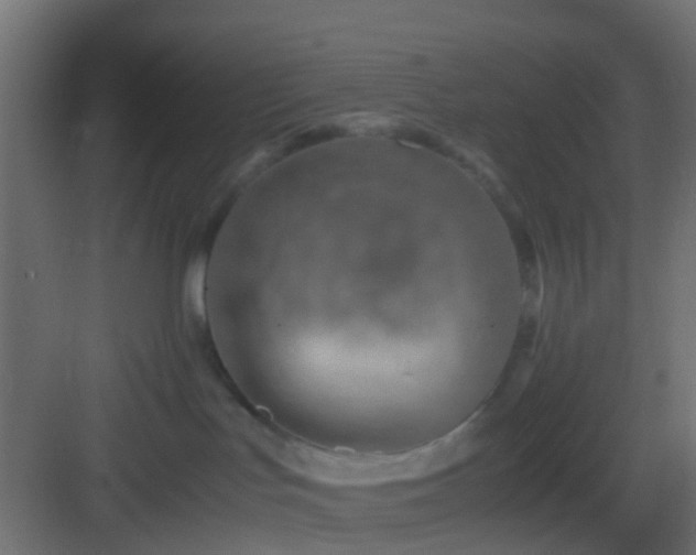 X0000082950047200702081701