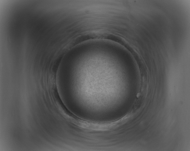 X0000082950048200702081701