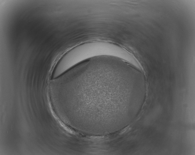 X0000082950049200702081700