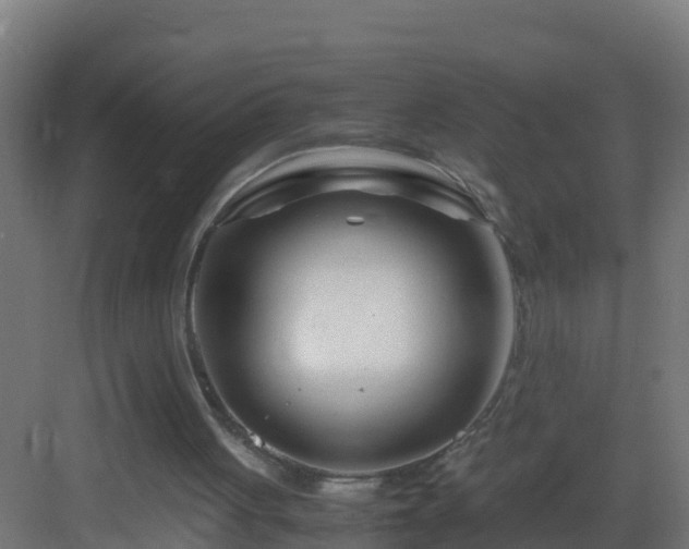 X0000082950051200702081700