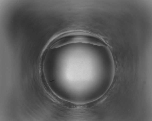 X0000082950056200702081700