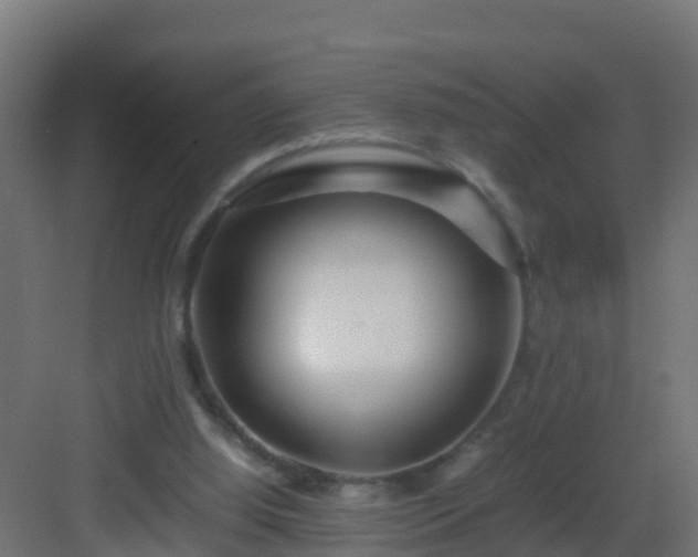 X0000082950060200702081700