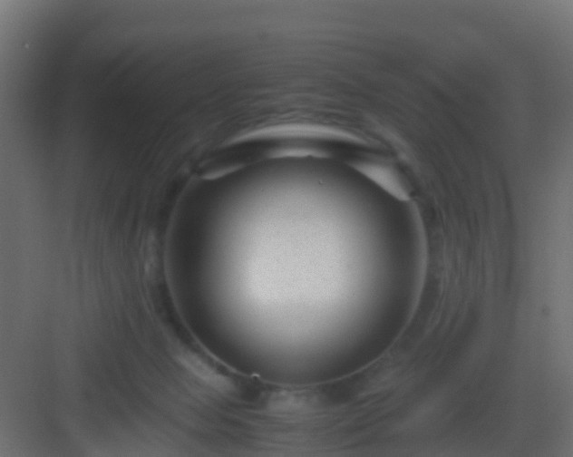 X0000082950077200702081700