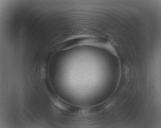 X0000082950080200702081700