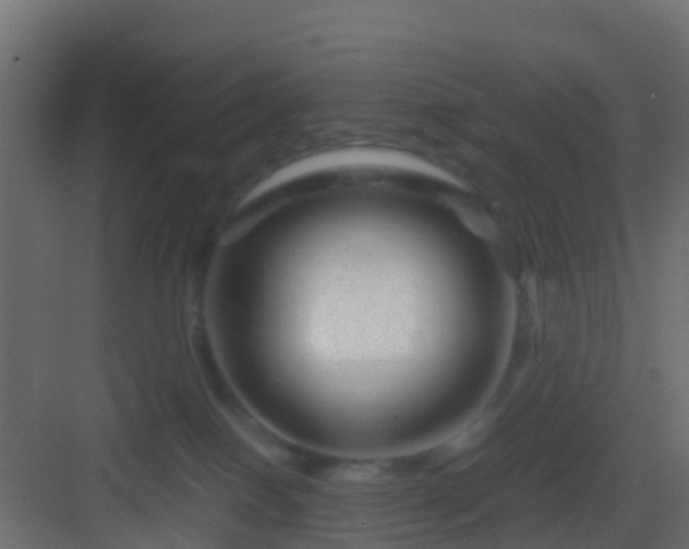 X0000082950086200702081700