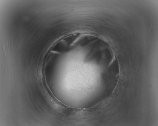X0000082950098200702081700