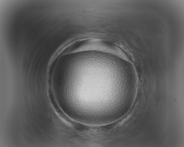X0000082950101200702081700