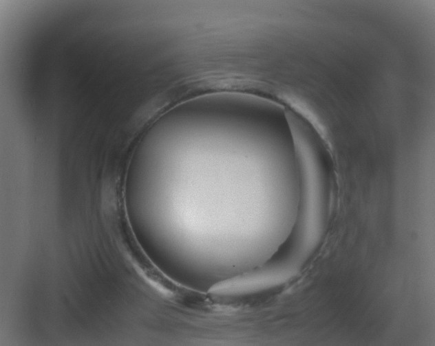 X0000082950105200702081700