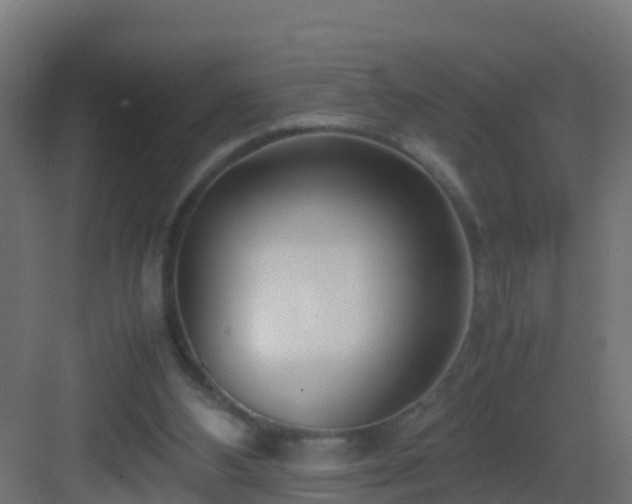 X0000082950108200702081700