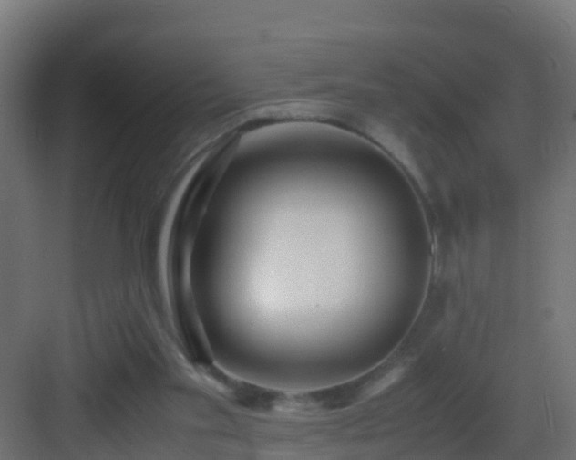 X0000082950109200702081700