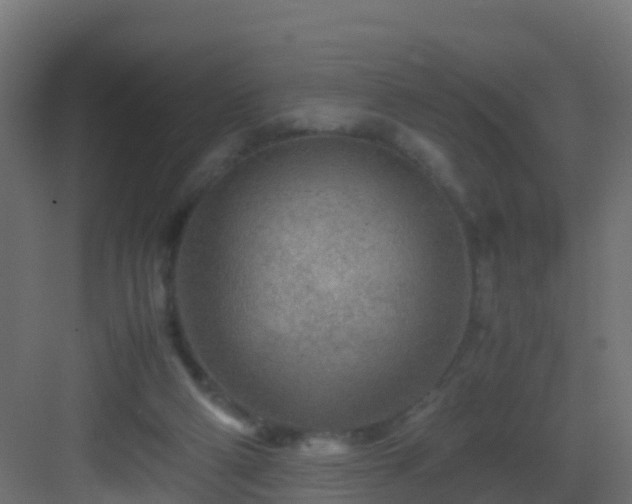 X0000082950114200702081700