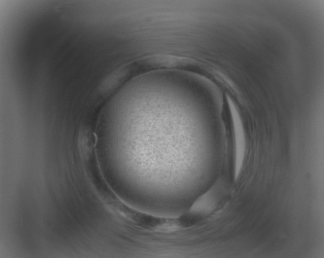 X0000082950119200702081659