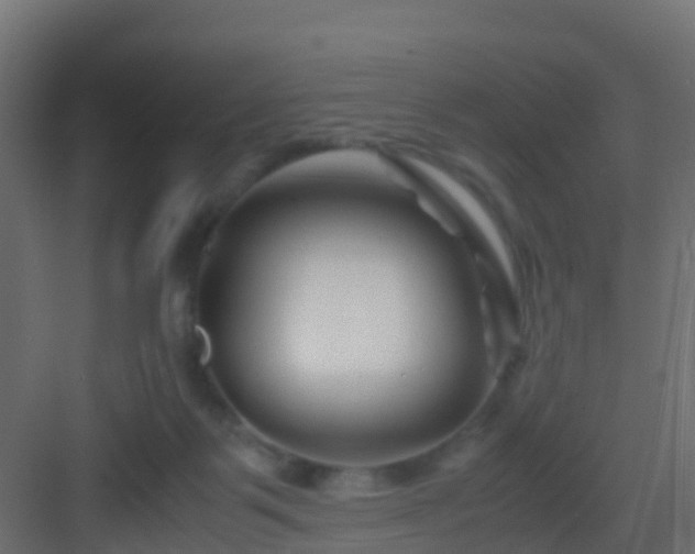 X0000082950123200702081659