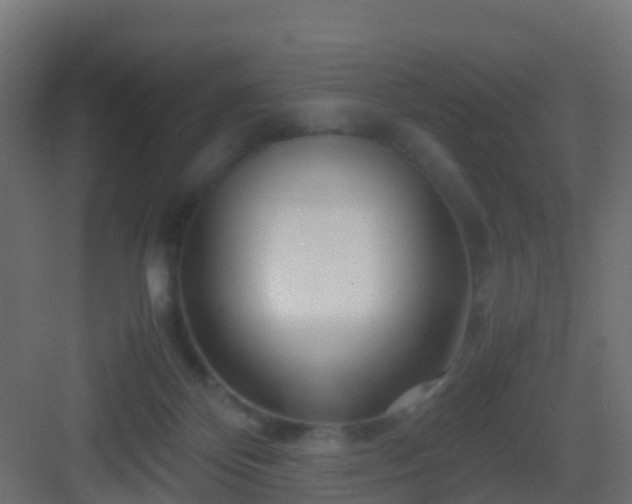 X0000082950124200702081659