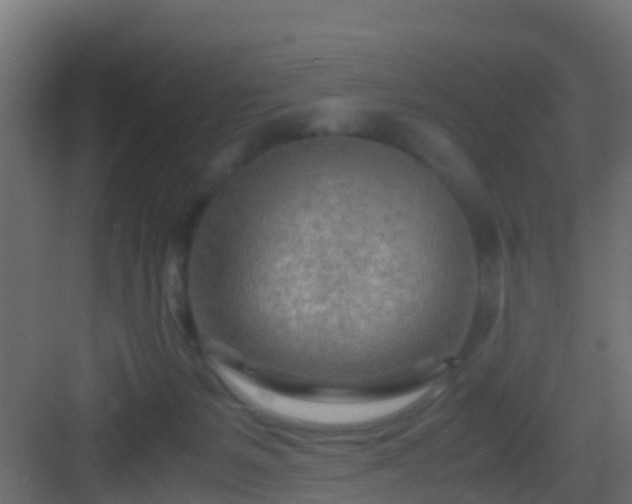 X0000082950127200702081659