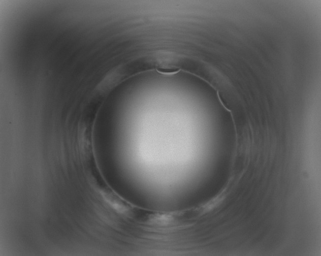 X0000082950140200702081659