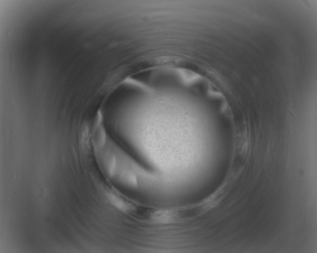 X0000082950142200702081659