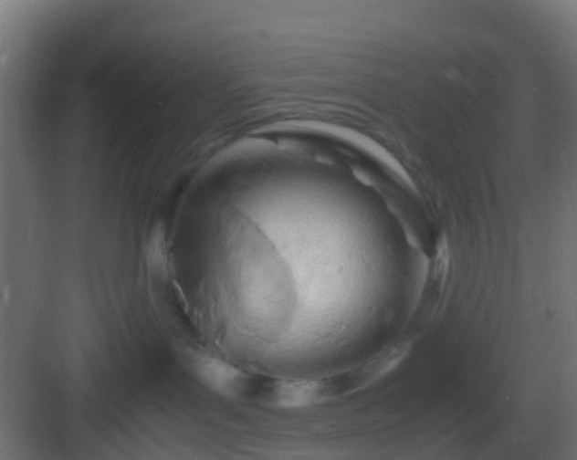 X0000082950143200702081659