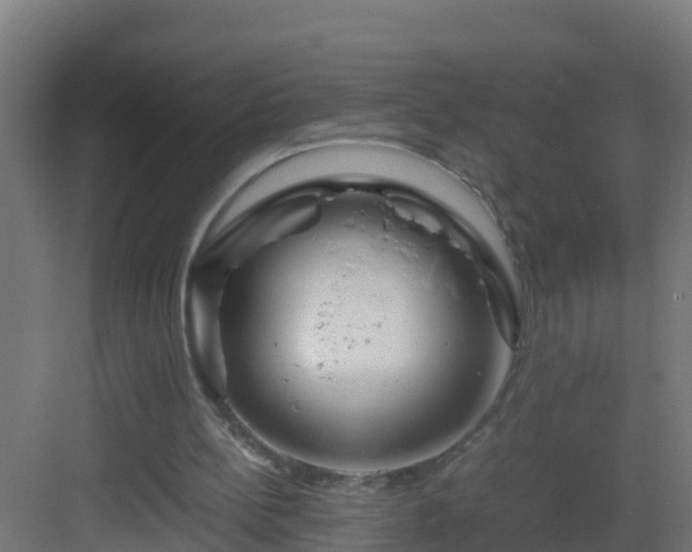 X0000082950148200702081658