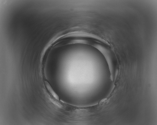 X0000082950150200702081658