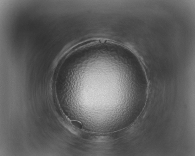 X0000082950151200702081658