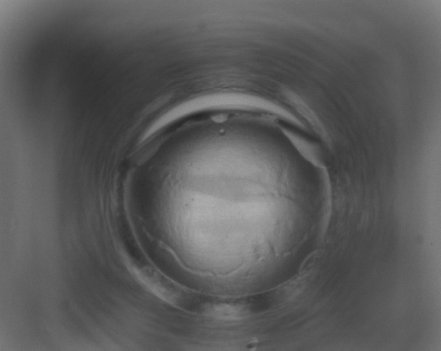 X0000082950163200702081659
