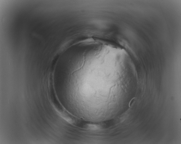 X0000082950167200702081659