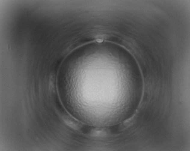 X0000082950175200702081659